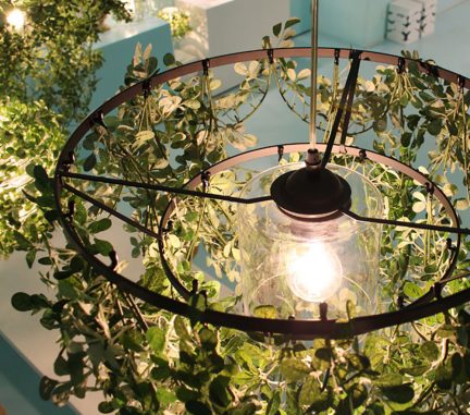 ミニ フォレスティの上面