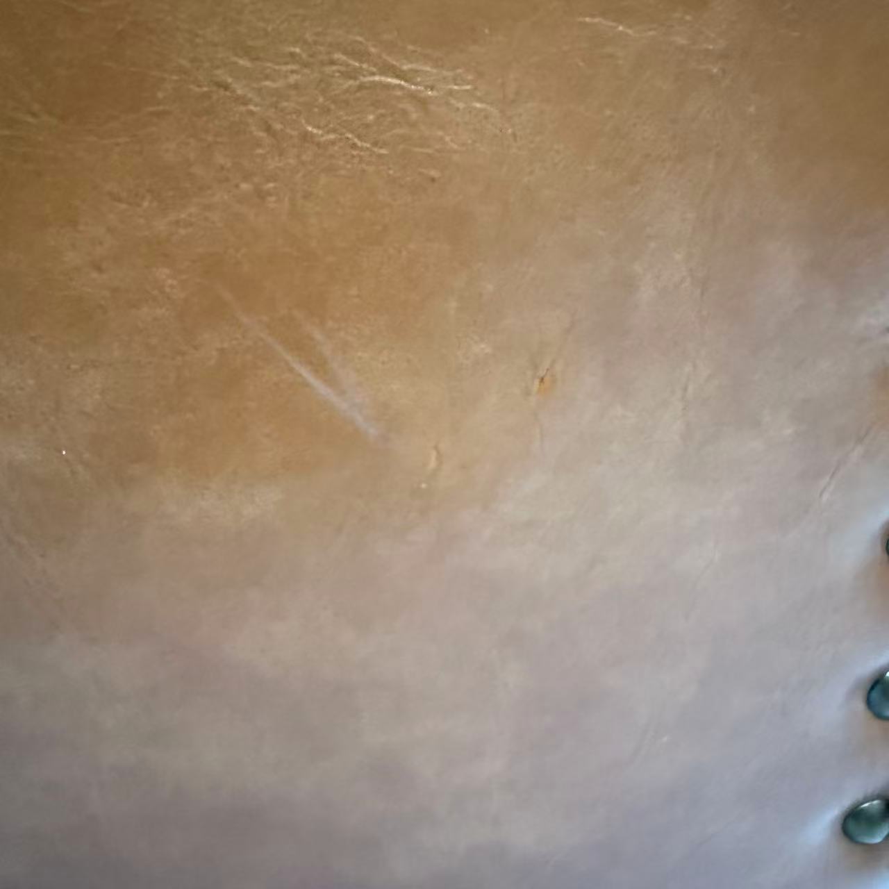 アウトレット スタイリングチェア ハーネス(CA) ファイブスター(SV) OL2120 通常価格￥52,580