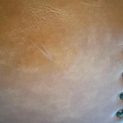 アウトレット スタイリングチェア ハーネス(CA) ファイブスター(SV) OL2120 通常価格￥52,580