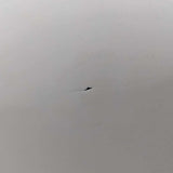 アウトレット ペンダントライト(MBK) OL1893  通常価格￥10,780