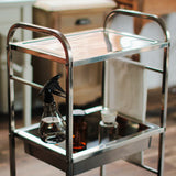 ステンレスワゴン 【イネス】の詳細