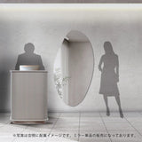 おしゃれなサロンにある韓国風レジカウンター「カミラ」とウォールアートミラー「MRO15」