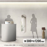 ウォールアートミラーロング1200mmの使用イメージ