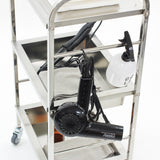 ステンレスワゴン 【イネス】の詳細