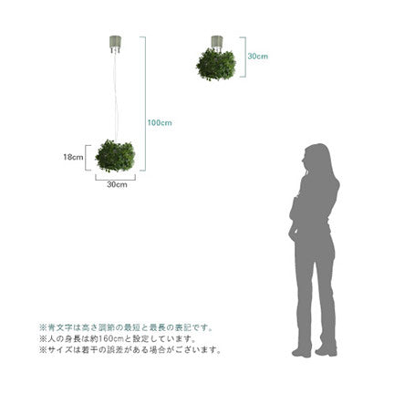 オーランド ペンダントランプ GR [Orland]