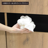 フラットシャンプーキャビネット【下台】の詳細