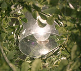 ミニ フォレスティの電球