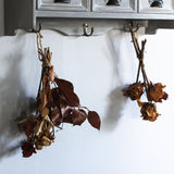 ブルーグレー色壁掛け商品棚【ウォールラック】の使用例6